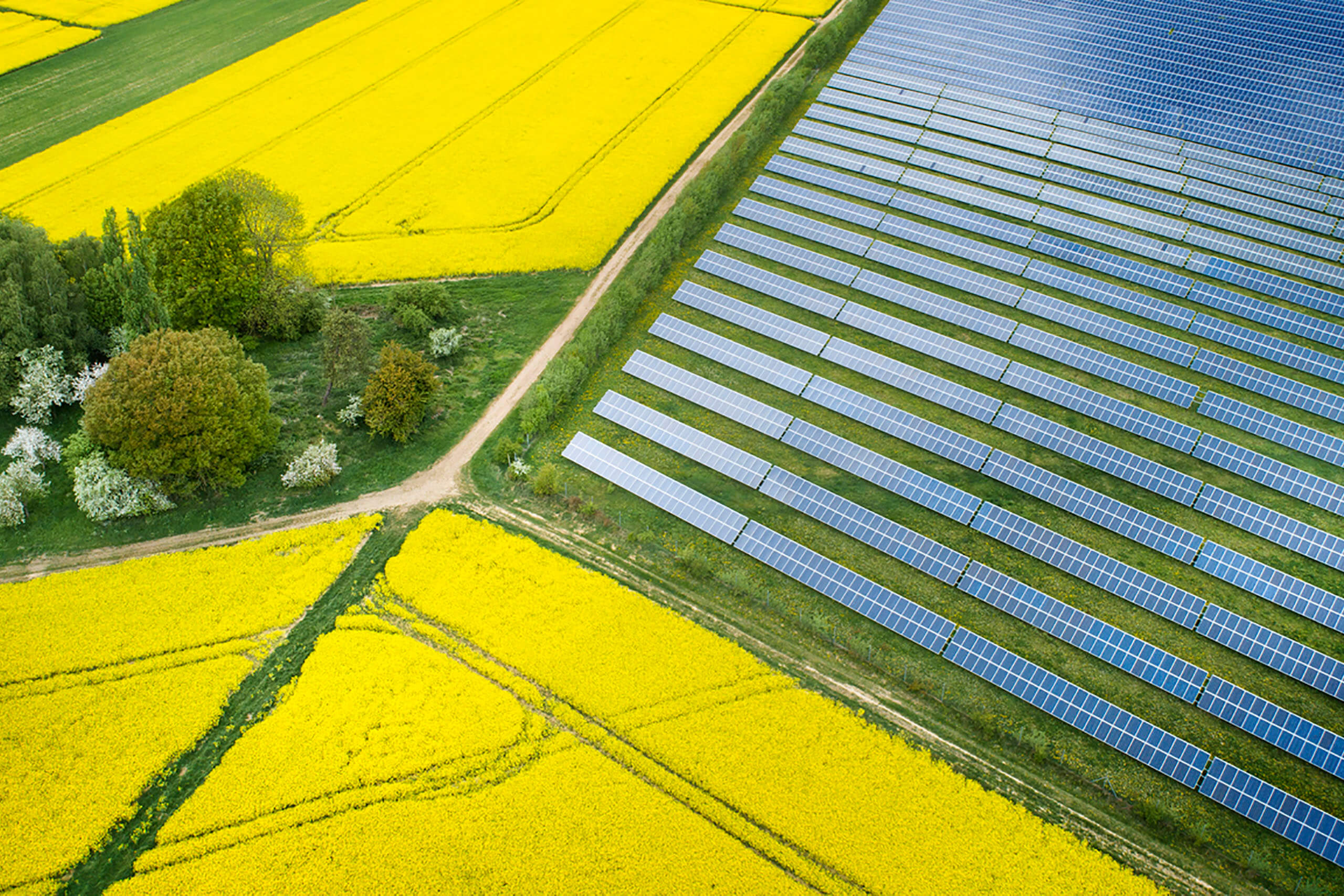 Commercial Solar Projects Are Growing in the Northeast